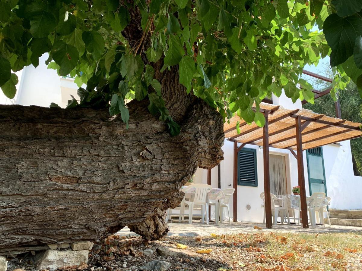 Casa Del Gelso Διαμέρισμα San Menaio Εξωτερικό φωτογραφία