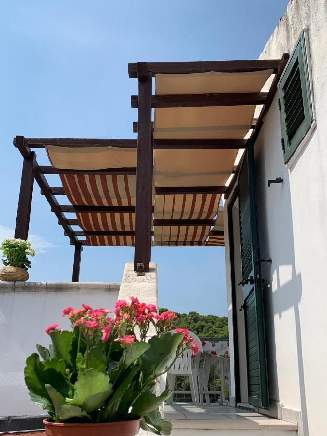 Casa Del Gelso Διαμέρισμα San Menaio Εξωτερικό φωτογραφία